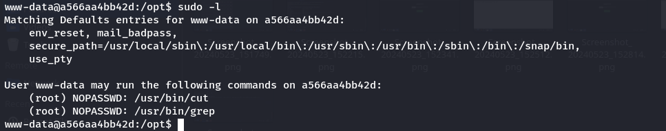 hidden sudo l.png